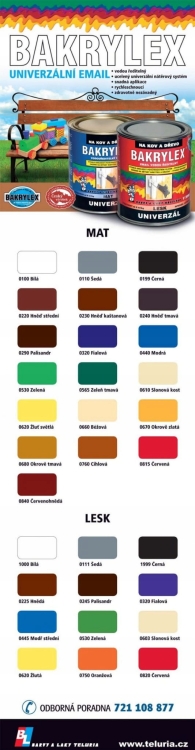 Farba do drewna Bakrylex 10kg mat do zabawek BIAŁA